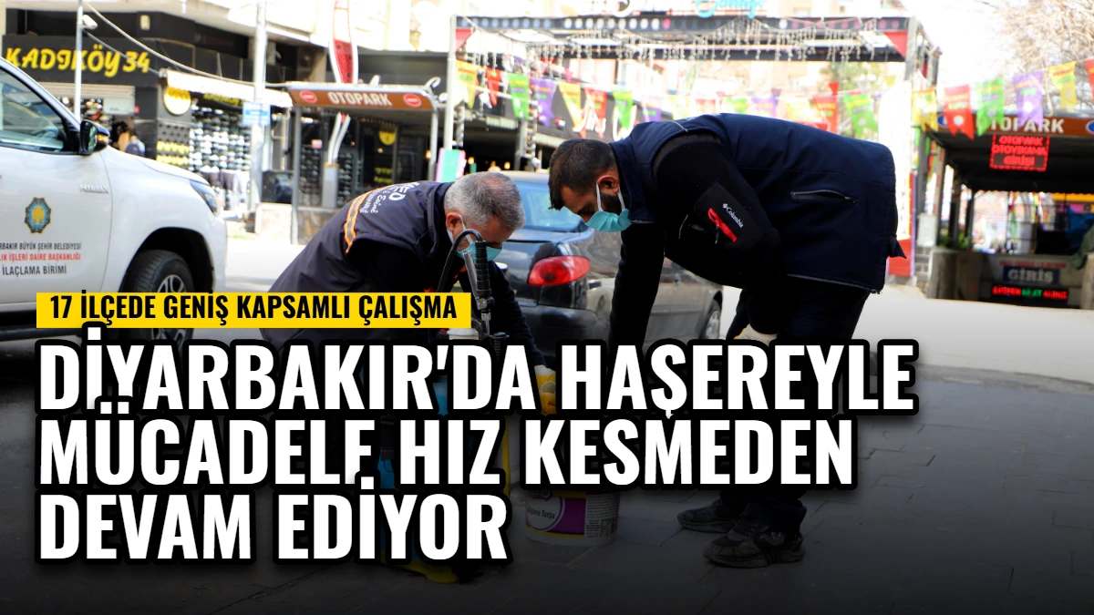 Diyarbakır'da Haşereyle Mücadele Hız Kesmeden Devam Ediyor
