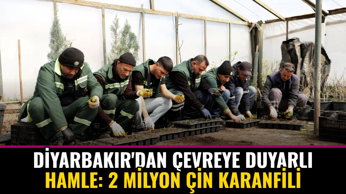 Diyarbakır'dan Çevreye Duyarlı Hamle: 2 Milyon Çin Karanfili