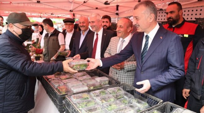 Kocaeli'nin “Çiftçi Şenliği”, Gebze’de kortejle başladı